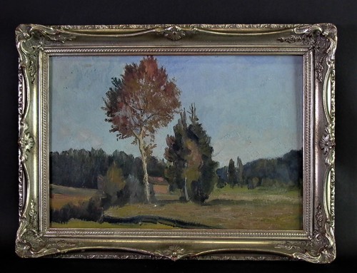 Schönes impressionistisches - schönes,