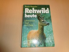 REHWILD HEUTE von Bruno