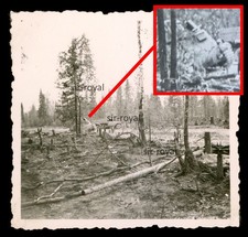 Kettenfahrzeug KFZ in Lappland um 1943 - Finnland - WK2 Foto 6x6cm