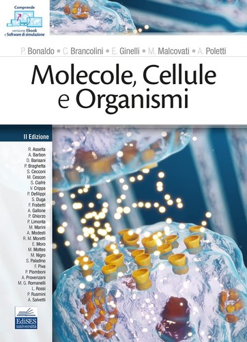Moleküle zellen und - zellen,