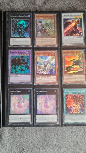 Yugioh tcg ganzer ordner - yugioh,