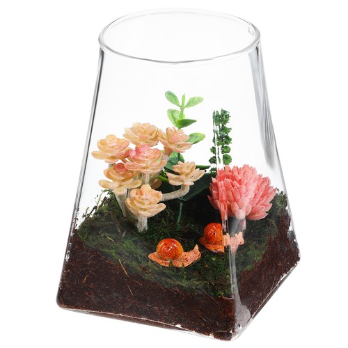 Glaspflanzen topf leere - glaspflanzen,