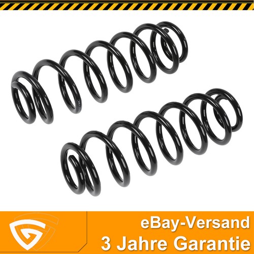 Fahrwerksfedern hinten links - fahrwerksfedern,