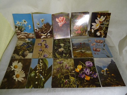 Vintage erba blumengrüße - vintage, /