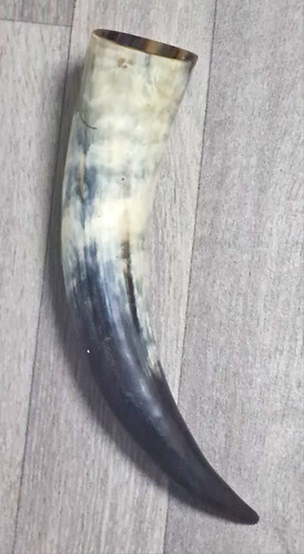 Naturhorn vermutlich - /,