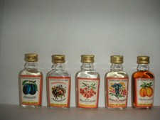 5x Miniaturflaschen Spirituosen Schnaps Likör - Set H699 PERTL (AT) minibottles