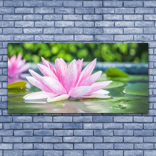 Glasbilder wandbild druck auf - glasbilder,