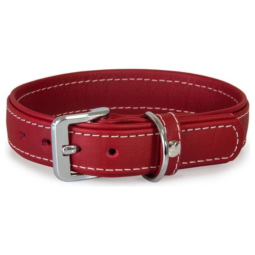 Das lederband hundehalsband - das,