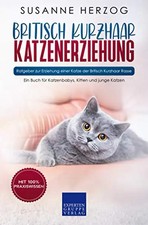 Britisch kurzhaar - britisch,