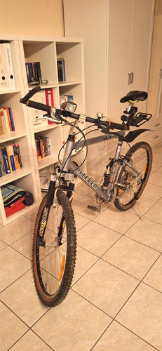 Stevens cult hybrid - stevens,