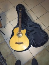 Ibanez Akustikbass mit