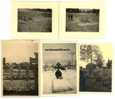 5x Orig. Foto Grab Soldaten Friedhof in Russland
