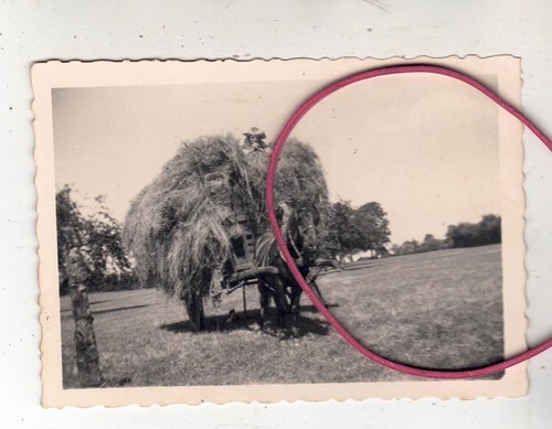 Photo foto bei der - der, heuernte