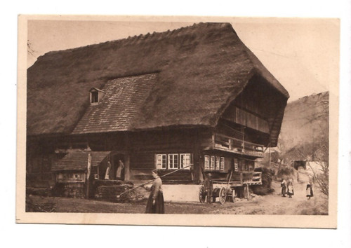 8146 das schwarzwaldhaus - das, *