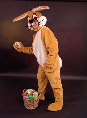 Hase osterhase - hase,