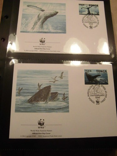 Sammlung wwf verschiedene - sammlung,