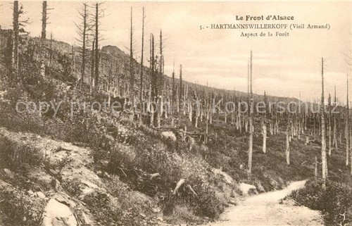 Hartmannsweilerkopf vieil - hartmannsweilerkopf,