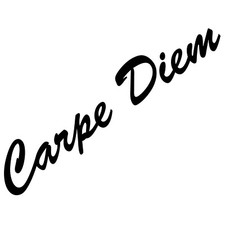 20cm black carpe diem