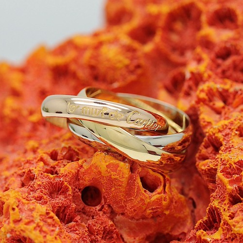 Les must cartier - les,