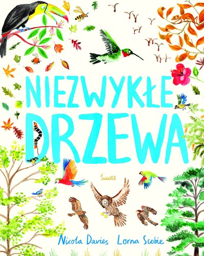 Polskie książki polnische - polskie,