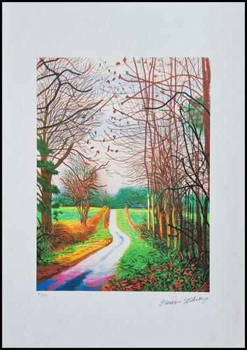 David hockney the arrival - david,