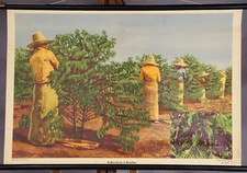 Wandbild Landhausstil