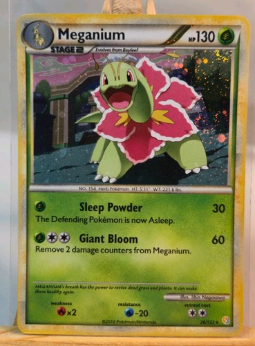 Meganium 123 holo - meganium, 26/123