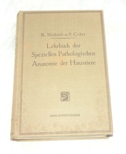 Re Lehrbuch der Speziellen Pathologischen Anatomie der Haustiere 556 Abb 796 S
