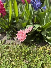 Handgemachte Haarspange Blume
