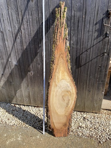 Holzscheiben holzbretter - holzscheiben,,