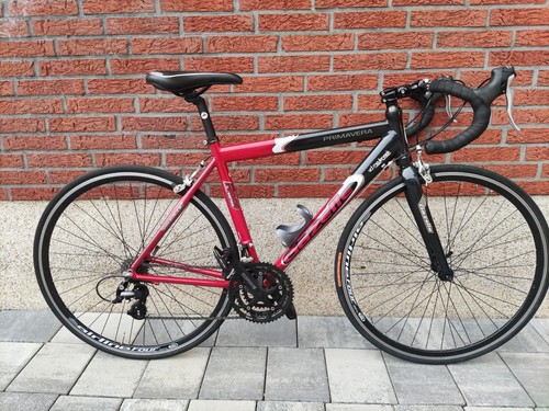 Kleines 50cm gazelle - xs,