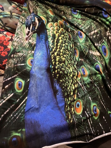 Stoff jersey pfau digitaldruck - jersey,