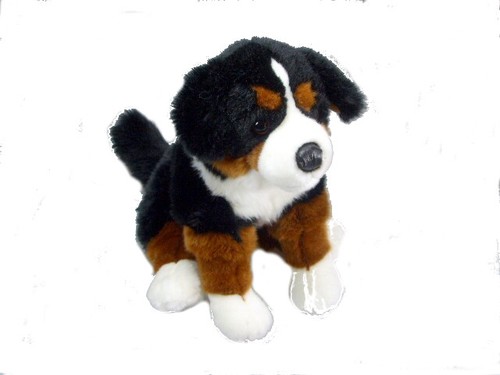 Kuscheltier berner sennenhund - berner,