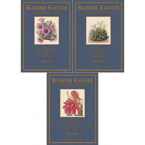 Blühende kakteen - blühende,