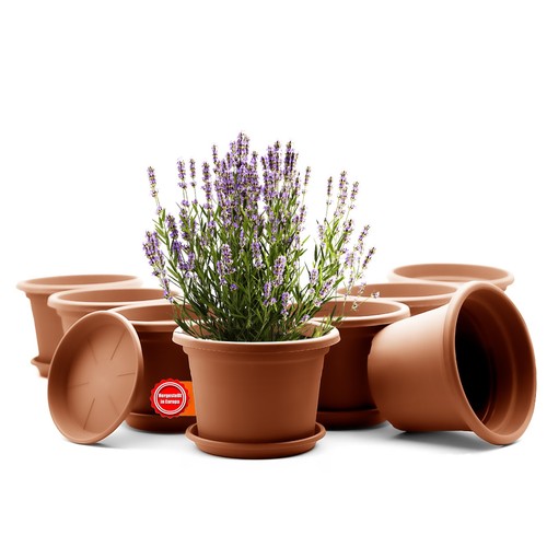 Stück blumentopf mit - blumentopf,