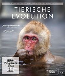 David attenborough tierische - david, attenborough: