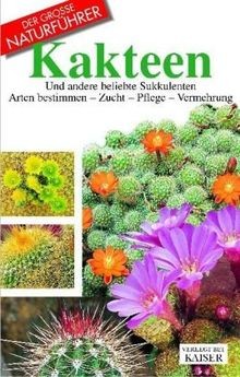 Kakteen der große - kakteen, (der