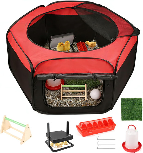 Chick brood box - chick,