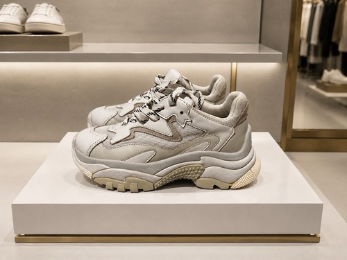 Ash addict sneaker damen - sneaker,