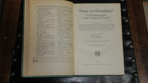 Fauna von deutschland - fauna,