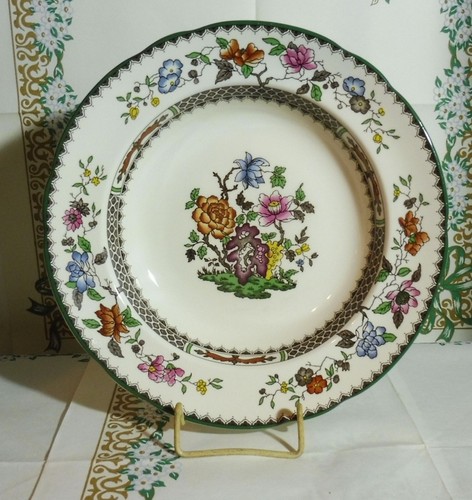 Chinese rose spode - rose,