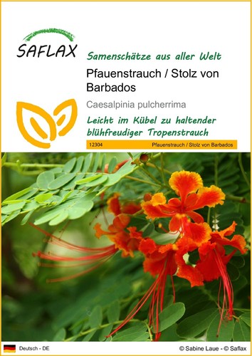 Saflax pfauenstrauch - saflax,