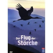 DER FLUG DER STÖRCHE DVD NEU