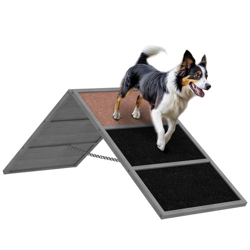 Hunde agility steg - hunde,