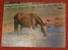 Poster Bild Pferdeposter Pferde 