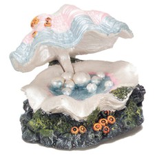 Aqua Della Muschel Dekoration