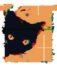 Schwarze Katze - Peeking