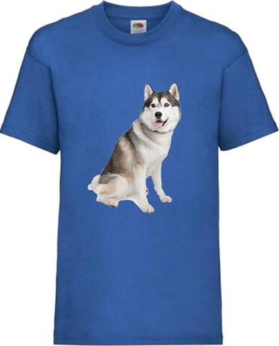 Husky hund haustier familie - husky,