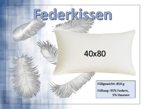 Kissen kopfkissen federkissen - kissen,