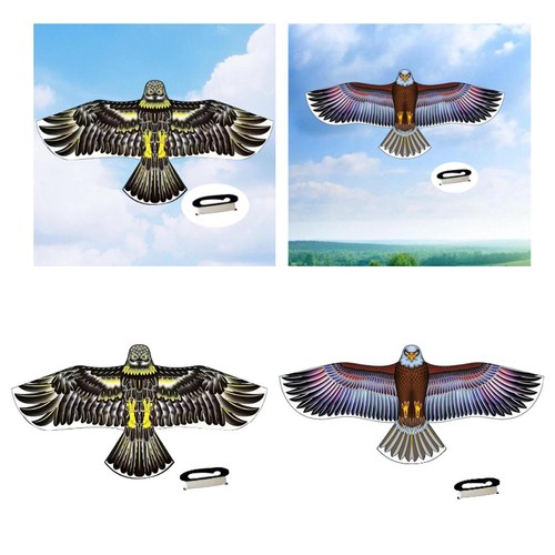 Riesiger drachen toller - drachen,,